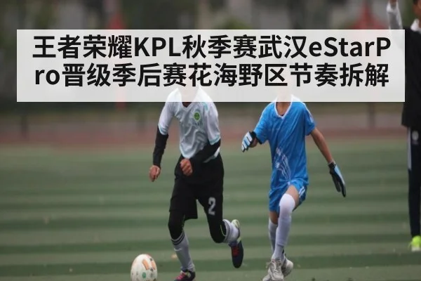 王者荣耀KPL秋季赛武汉eStarPro晋级季后赛花海野区节奏拆解 - kaiyun